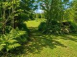 4500 Witmere Road - Photo 10