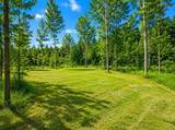 4500 Witmere Road - Photo 5