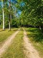 4500 Witmere Road - Photo 7