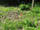  105th Avenue - Photo 7
