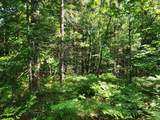 10 Acres Christie Drive - Photo 10