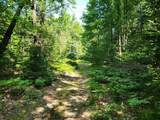 10 Acres Christie Drive - Photo 12