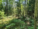 10 Acres Christie Drive - Photo 5
