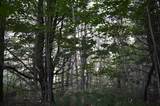  Old M-72 - Photo 15