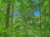 5400 Wild Berry Trail - Photo 5
