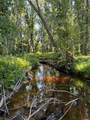  Co Rd 441 - Photo 8