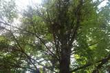 0 Whitefish Trail - Photo 11