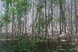 0 Whitefish Trail - Photo 12