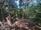 V/L 10A Bunker Hill Road - Photo 26