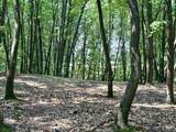 Lot E Big Sky Trail - Photo 24