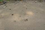  Marsh Road - Photo 7