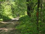 10622 7 Mile Road - Photo 35