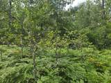 10622 7 Mile Road - Photo 39