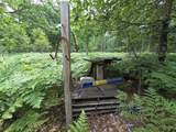 10622 7 Mile Road - Photo 40