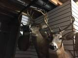 10622 7 Mile Road - Photo 49