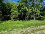 Parcel 1 M-37 - Photo 10