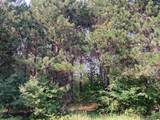 V/L-20A-M/L Mayhew Road - Photo 3