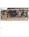 24496 Renata Drive - Photo 6