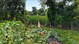 103 Sherman Street - Photo 56