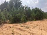 Parcel F-3 2 1/2 Road - Photo 15