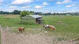5095 Casey Road - Photo 42