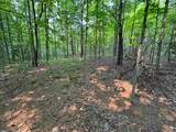 Lot #2 Bellinger Road - Photo 16