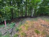 Lot #3 Bellinger Road - Photo 12