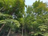 Lot #4 Bellinger Road - Photo 25