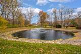 12277 Forest Glen Lane - Photo 90