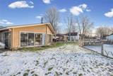 38027 Mallast Street - Photo 45