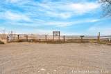 2767 Lakeshore Drive - Photo 61