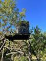 2554 Lee Derrer Road - Photo 11