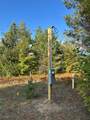 2554 Lee Derrer Road - Photo 15