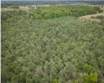 2554 Lee Derrer Road - Photo 5