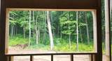 794 Greystone Drive - Photo 1