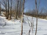 V/L Cade Rd Road - Photo 33