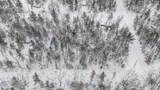 01 Bradby Blvd - Photo 6