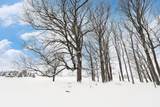 Lot #9 Kadi Lane - Photo 25