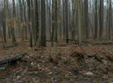 Lot 40 Squirrel Run - Photo 9