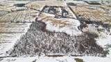1000 Carver Road - Photo 2