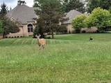 lot 21 Burlwood Circle - Photo 11