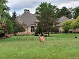 lot 21 Burlwood Circle - Photo 12