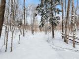 2370 Alden Highway - Photo 9
