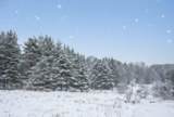 10.15 Spruce Hollow Trace - Photo 11