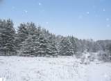10.15 Spruce Hollow Trace - Photo 16