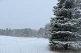 10.15 Spruce Hollow Trace - Photo 18