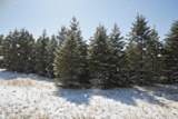 10.15 Spruce Hollow Trace - Photo 19