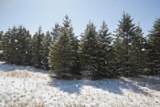 10.15 Spruce Hollow Trace - Photo 20