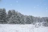 10.15 Spruce Hollow Trace - Photo 21