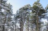 10.15 Spruce Hollow Trace - Photo 22